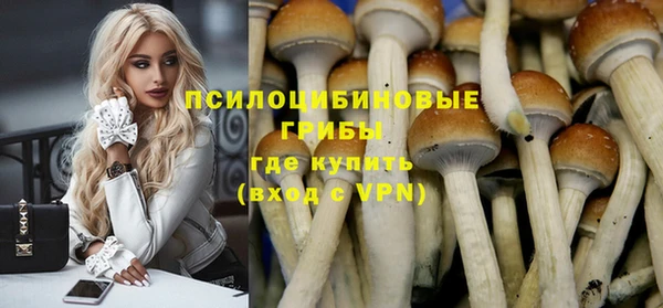 мяу мяу мука Фёдоровский