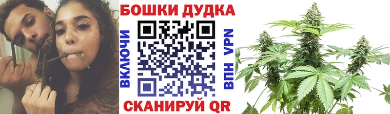 Конопля Amnesia  как найти закладки  Светлый 